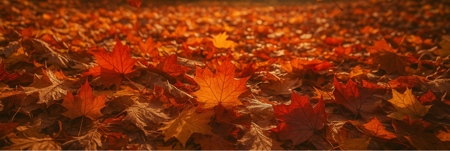 OKTOBERFEST BLOWOUT SALE!