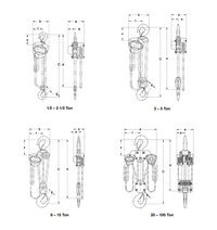 Harrington CB300-10 30 Ton Chain Hoist - Used