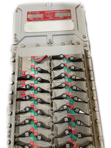 Appleton D2P-36 Enclosed Panelboard Raintight- New Surplus